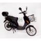 ZT-03 E-Bike, 48V 12AH 250W 18''