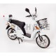 ZT-03 E-Bike, 48V 12AH 250W 18''