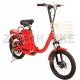 ZT-06 E-Bike 36V 12Ah 250W 18"