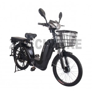 ZT-10 Elektromos kerékpár, 48V 12AH 250W 22''