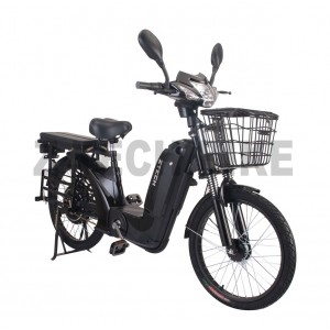 ZT-10 Electricial bike, 48V 12AH 250W 22''