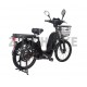 ZT-10 Electricial bike, 48V 12AH 250W 22''