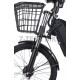 ZT-10 Electricial bike, 48V 12AH 250W 22''