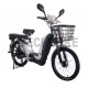 ZT-10 Electricial bike, 48V 12AH 250W 22''