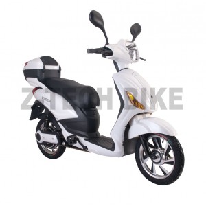 ZT-09 E-Bike, 48V 20AH 450W 16''