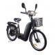 ZT-02 Electricial bike NEW