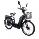 ZT-02 Electricial bike NEW