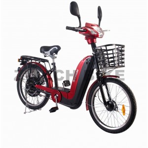 ZT-02 E-Bike 36V 12AH 250W-350W 22''