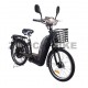 ZT-02 Electricial bike NEW
